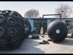 এসটিএস ফ্যান্ডার প্রদর্শন