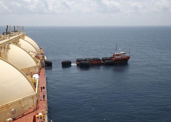 গুণ এসটিএস প্রকল্পের জন্য কাস্টমাইজযোগ্য ইয়োকোহামা টাইপ ইনফ্ল্যাটেবল রাবার ফেন্ডার কারখানা