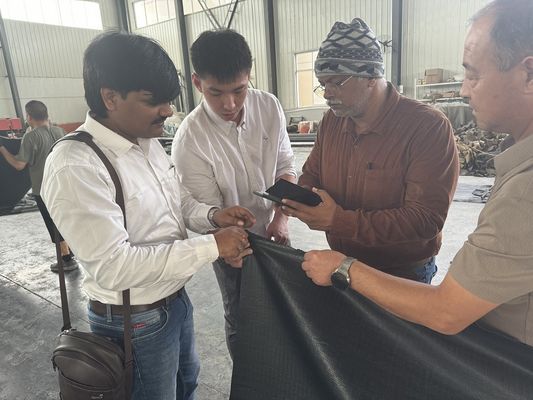 গুণ নৌবাহিনীর জন্য প্রাকৃতিক রাবারের এয়ারব্যাগ কারখানা