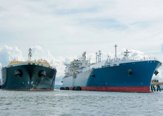 গুণ CCS সার্টিফিকেশন রাবার টিউব সঙ্গে প্রতিরোধী বায়ুসংক্রান্ত সামুদ্রিক ফেন্ডার পরিধান কারখানা