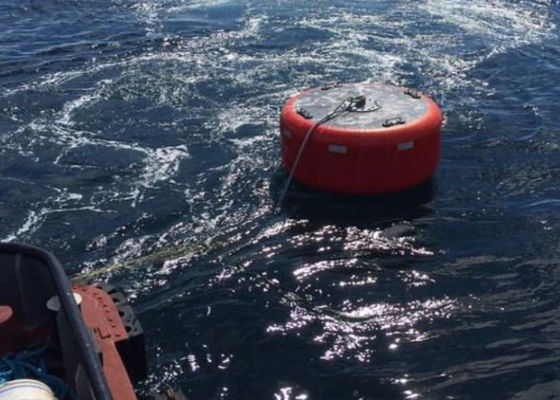 গুণ ওয়েল্ডিং ইন্টারসেপিং মুরিং মেরিন নেভিগেশন বুয়েস কারখানা