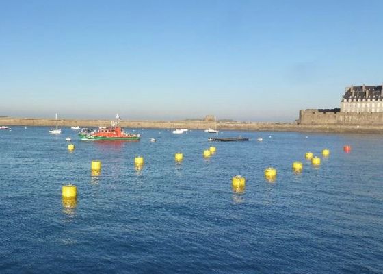 গুণ রড অফশোর মুরিং বায়ো, পলিথিন চ্যানেল মার্কার বায়ো ফর ওয়াটার লাইফ কারখানা