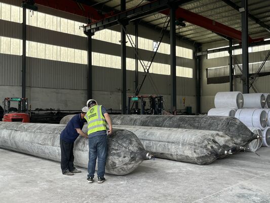 গুণ Anti Corrosion Marine Rubber Airbag for Long Term Saltwater Service with 0.8-3 M Diameter কারখানা