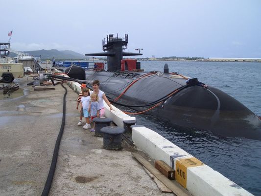 গুণ প্রকার Ⅵ হাইড্রো বায়ুসংক্রান্ত প্রকার ফেন্ডার নৌবাহিনী জাহাজ বায়ুসংক্রান্ত রাবার ফেন্ডার চেইন টায়ার কারখানা