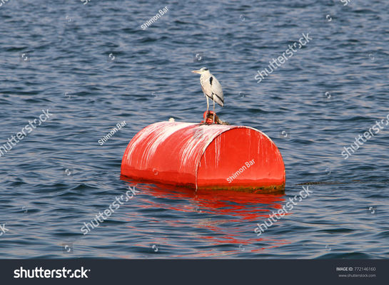 গুণ ইস্পাত একক নৌকা ভাসমান উদ্বৃত্ত মেরিন মুরিং বয় ফোম ভরা বহুমুখী কারখানা